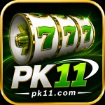 PK11 Game