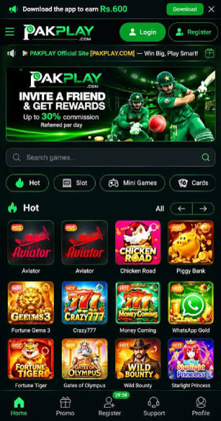 PAKPLAY Game